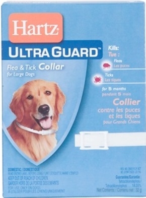 flea collar big w