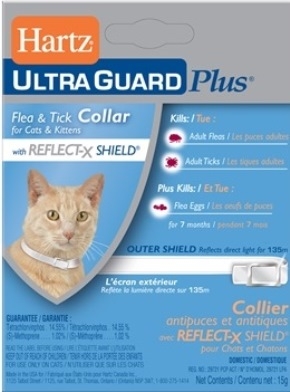 cat flea collar big w